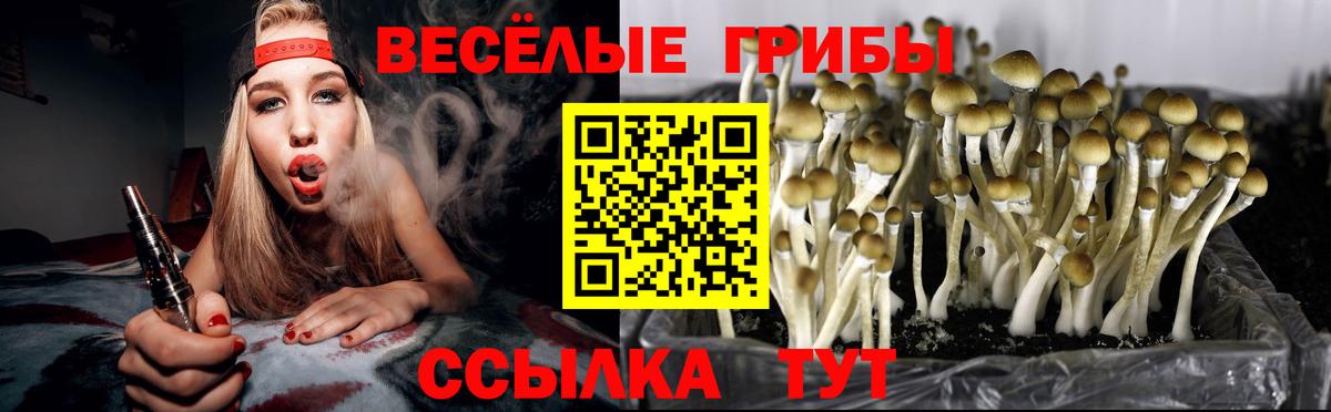 Галлюциногенные грибы Magic Shrooms  Вход с VPN  Трёхгорный 